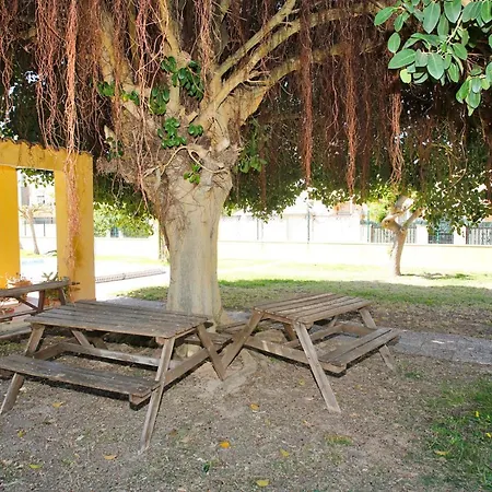 Cost Vacation House With Pool Appartement Torrevieja